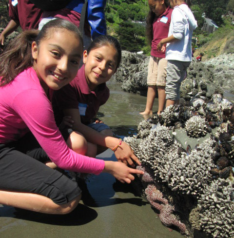 Muir Beach  FUTURES Elementary Oakland 3
