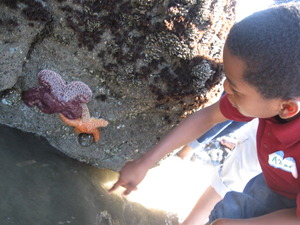 FUTURES Muir Beach FUTURES Muir Beach